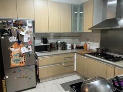 Edelweiss Park Condominium (D17), Condominium #484691561